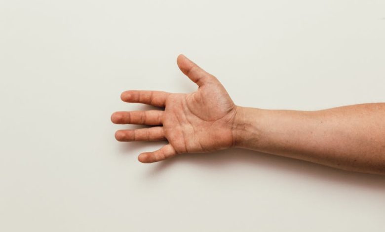 hand terminal